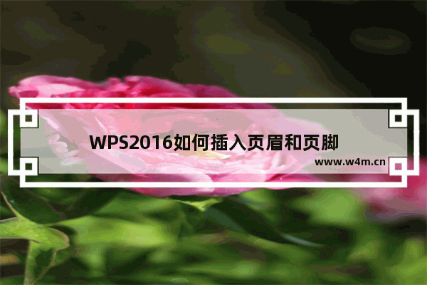 WPS2016如何插入页眉和页脚