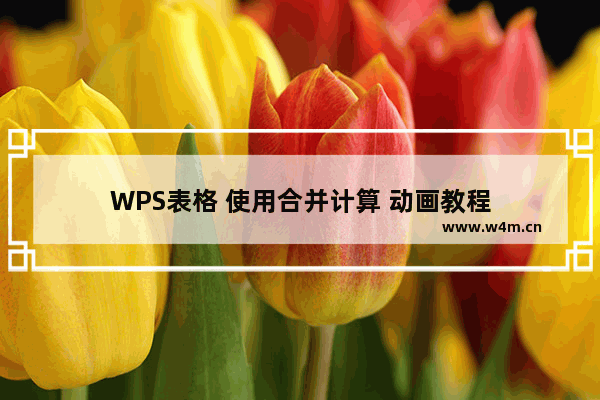 WPS表格 使用合并计算 动画教程