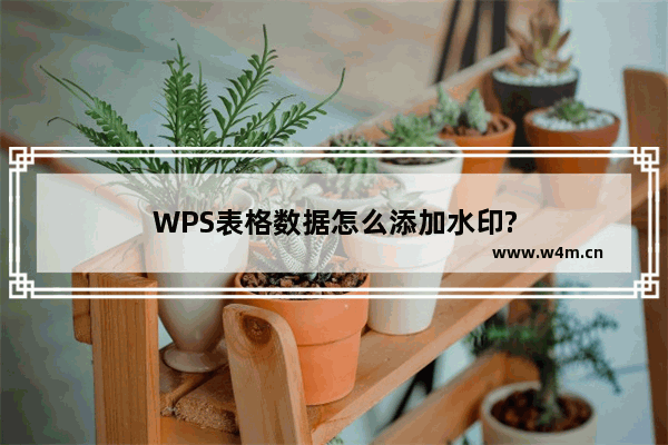 WPS表格数据怎么添加水印?