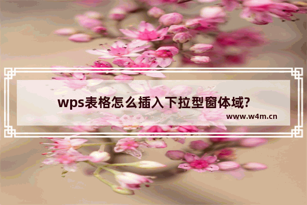 wps表格怎么插入下拉型窗体域?