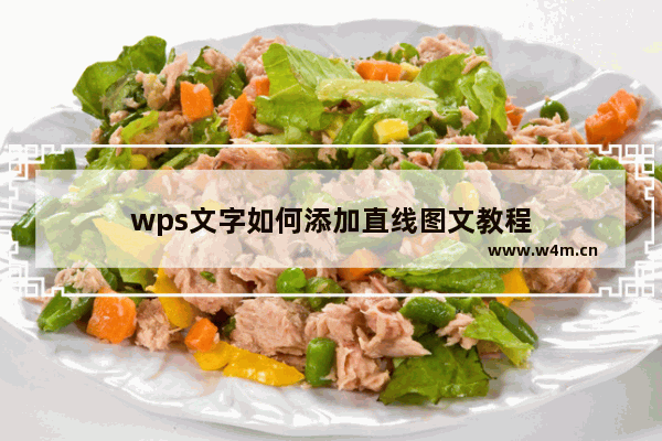 wps文字如何添加直线图文教程