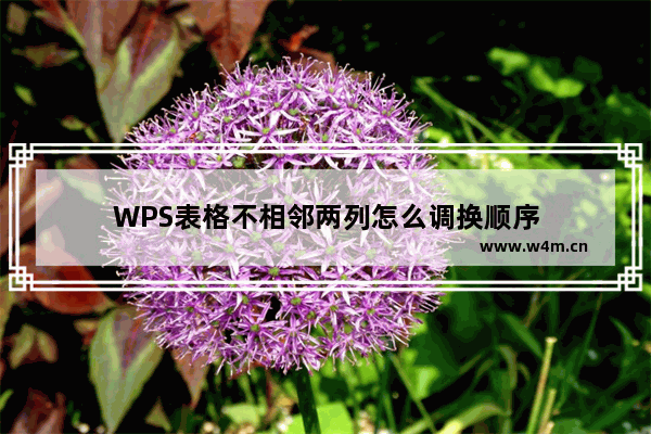 WPS表格不相邻两列怎么调换顺序