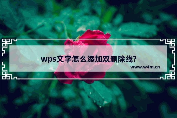 wps文字怎么添加双删除线?