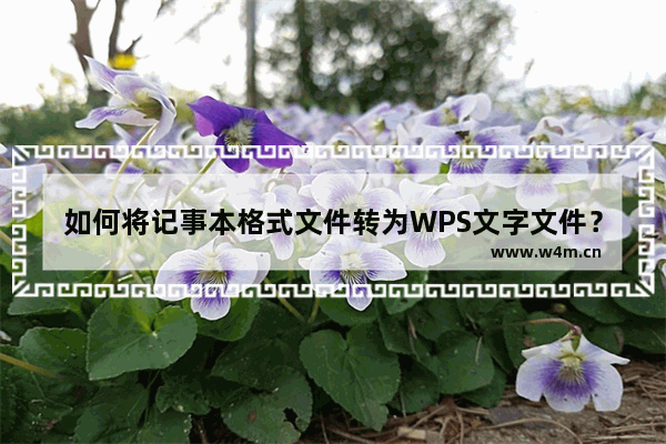 如何将记事本格式文件转为WPS文字文件？