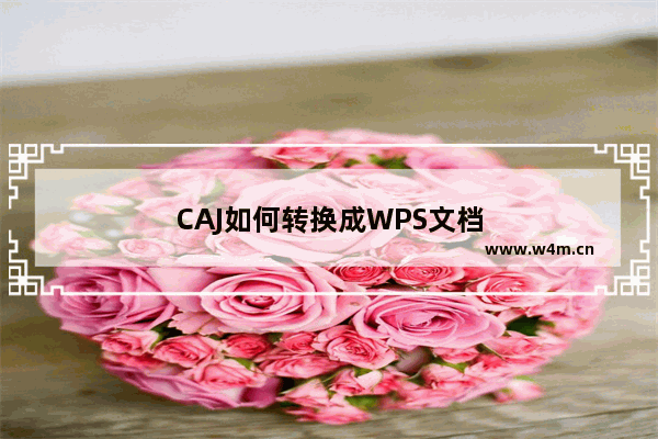 CAJ如何转换成WPS文档