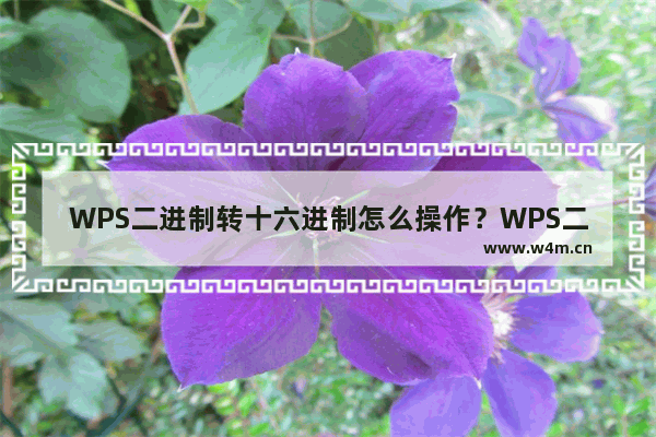 WPS二进制转十六进制怎么操作？WPS二进制转十六进制使用教程