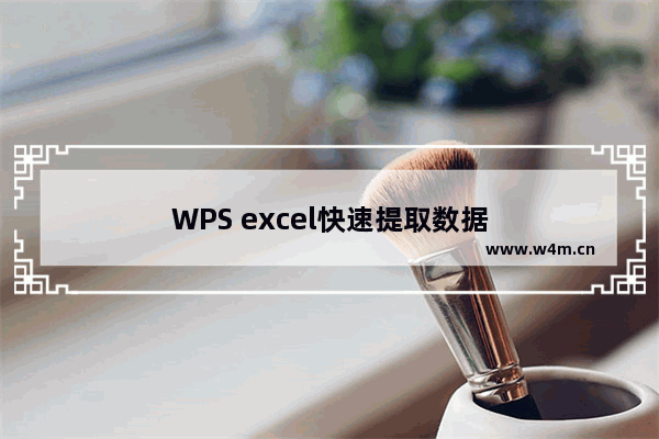 WPS excel快速提取数据