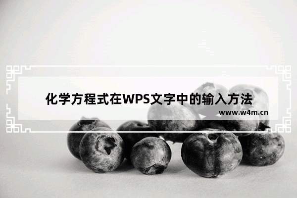 化学方程式在WPS文字中的输入方法