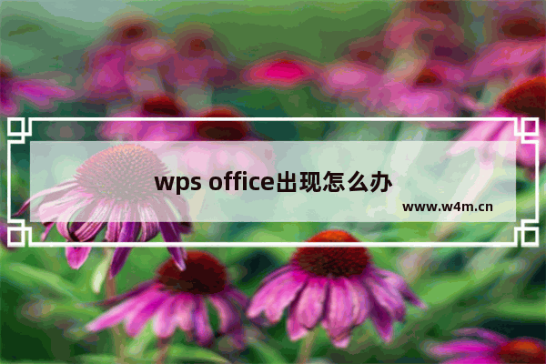 wps office出现怎么办