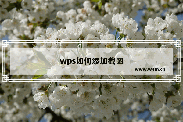 wps如何添加截图