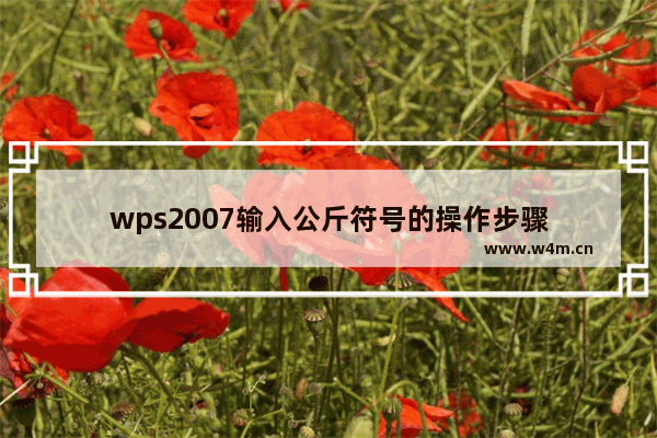 wps2007输入公斤符号的操作步骤