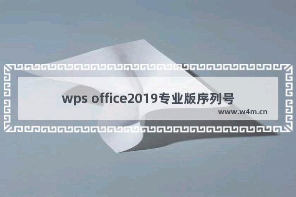 wps office2019专业版序列号有哪些 wps office2019专业版序列号大全