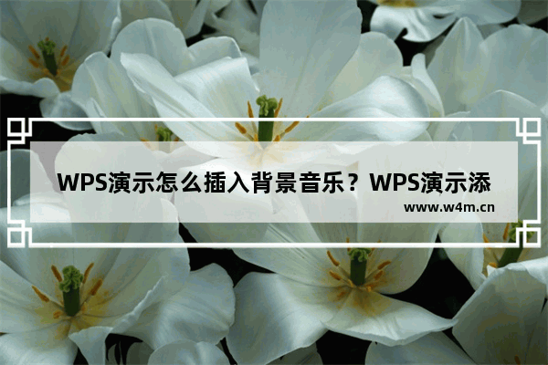 WPS演示怎么插入背景音乐？WPS演示添加背景音乐操作分享