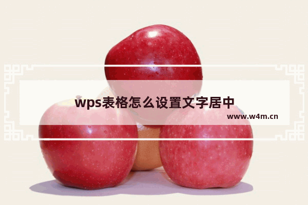 wps表格怎么设置文字居中