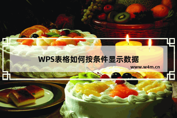 WPS表格如何按条件显示数据