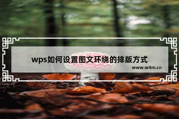 wps如何设置图文环绕的排版方式