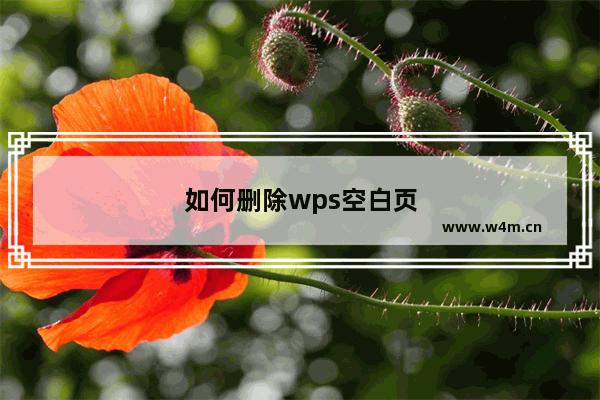 如何删除wps空白页