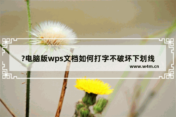 ?电脑版wps文档如何打字不破坏下划线