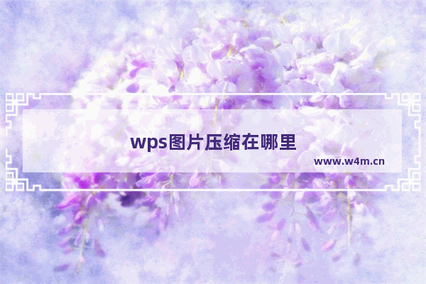 wps图片压缩在哪里