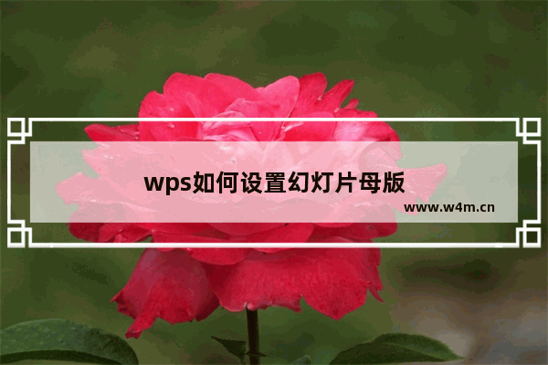 wps如何设置幻灯片母版