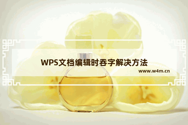 WPS文档编辑时吞字解决方法