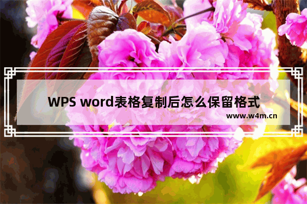 WPS word表格复制后怎么保留格式