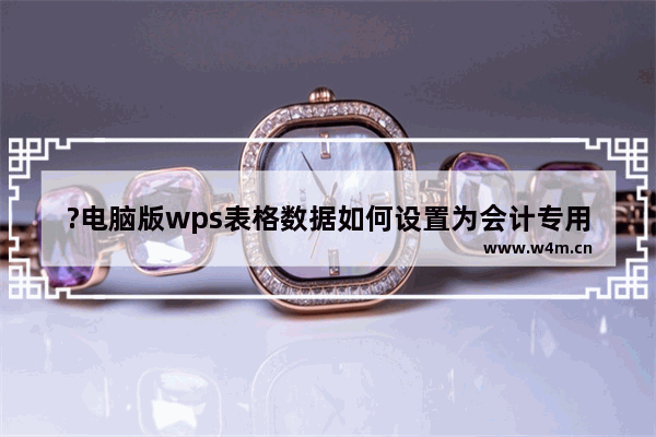 ?电脑版wps表格数据如何设置为会计专用格式