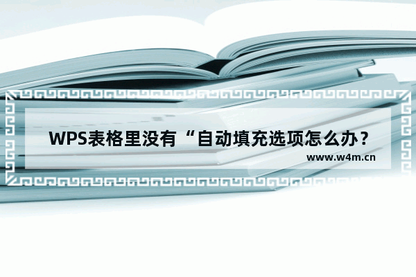 WPS表格里没有“自动填充选项怎么办？