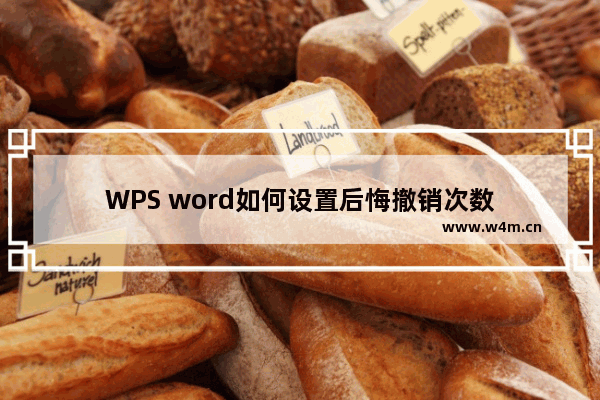 WPS word如何设置后悔撤销次数