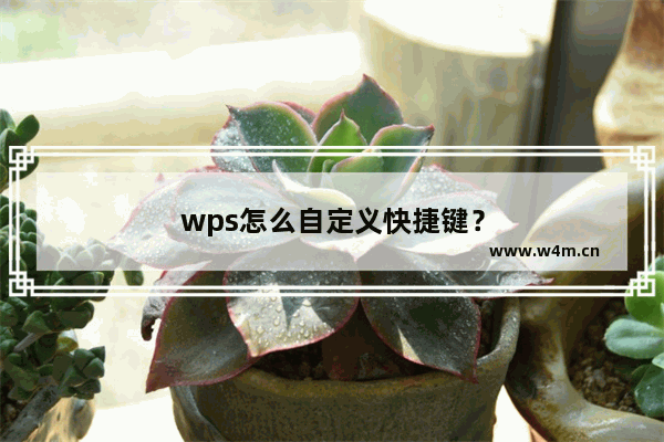 wps怎么自定义快捷键？