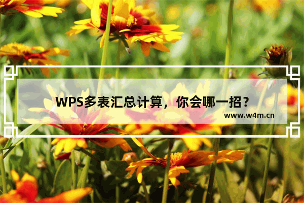 WPS多表汇总计算，你会哪一招？