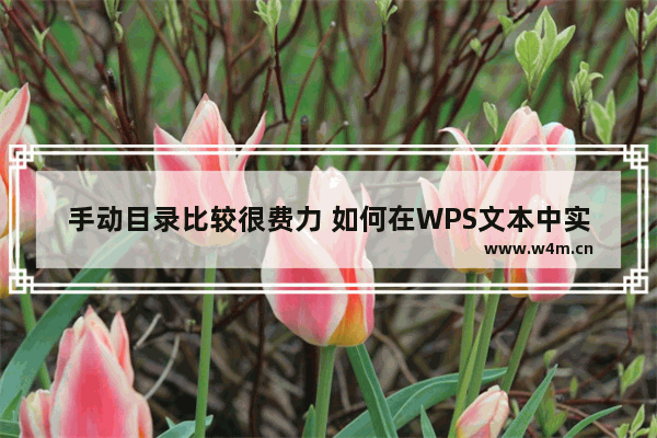 手动目录比较很费力 如何在WPS文本中实现自动目录生成