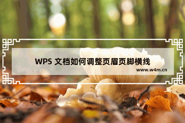 WPS 文档如何调整页眉页脚横线