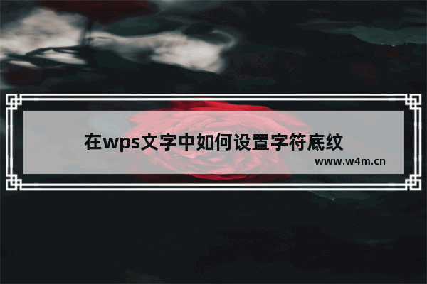 在wps文字中如何设置字符底纹