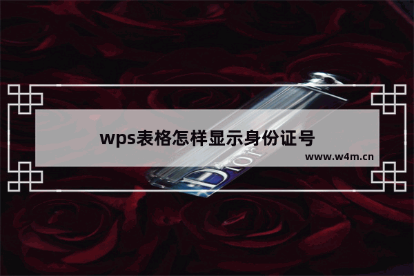 wps表格怎样显示身份证号