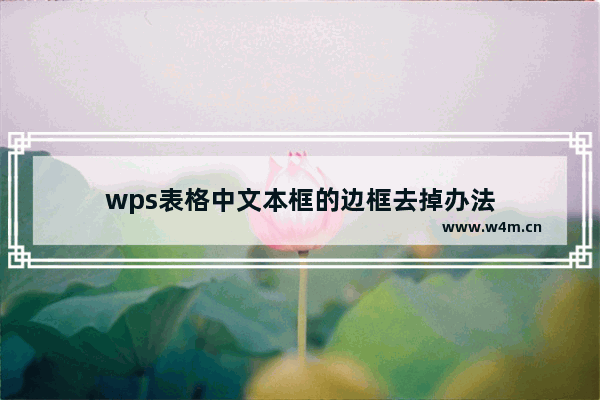 wps表格中文本框的边框去掉办法