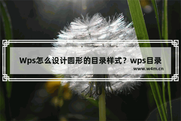 Wps怎么设计圆形的目录样式？wps目录样式设置方法