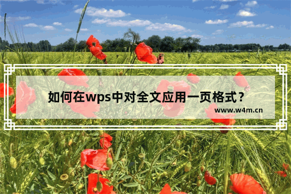 如何在wps中对全文应用一页格式？