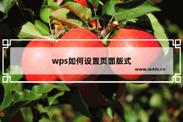 wps如何设置页面版式