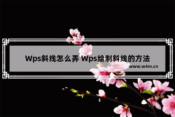 Wps斜线怎么弄 Wps绘制斜线的方法