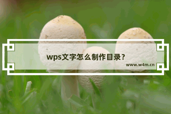 wps文字怎么制作目录？