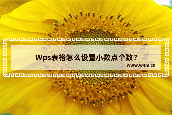 Wps表格怎么设置小数点个数？