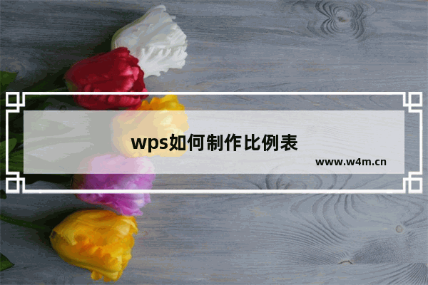 wps如何制作比例表