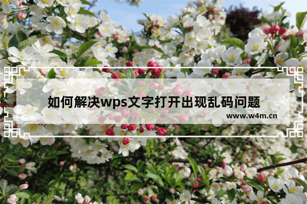 如何解决wps文字打开出现乱码问题