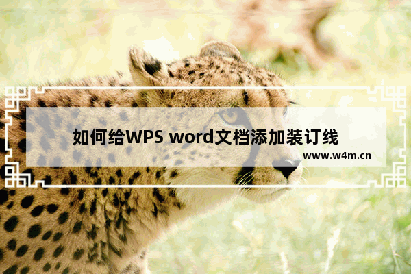 如何给WPS word文档添加装订线