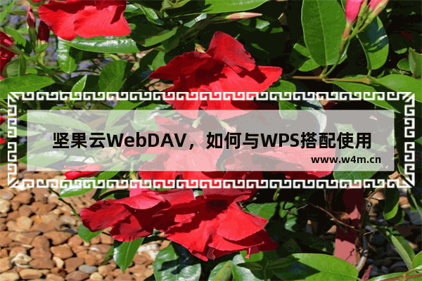 坚果云WebDAV，如何与WPS搭配使用