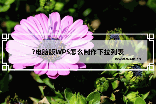 ?电脑版WPS怎么制作下拉列表