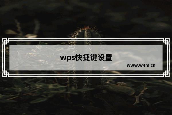 wps快捷键设置