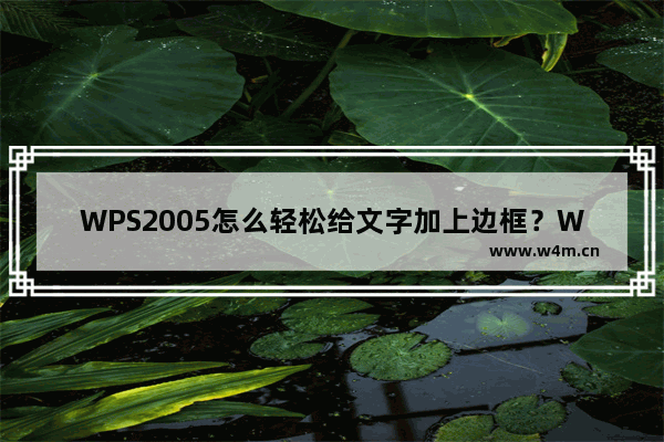 WPS2005怎么轻松给文字加上边框？WPS2005轻松给文字加上边框的方法技巧