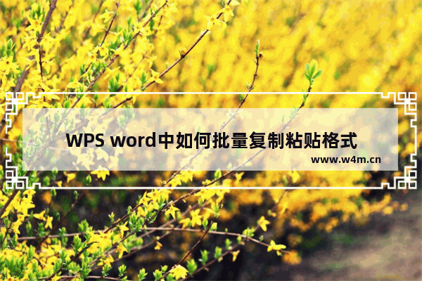 WPS word中如何批量复制粘贴格式